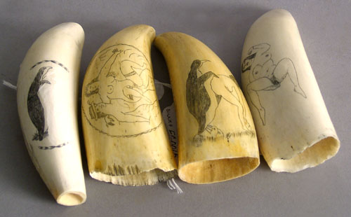 Appraisal: Four scrimshaw whale teeth three with erotic decoration