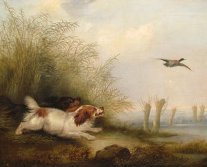 Appraisal: Attributed to George Armfied - - Spaniels flushing a mallard