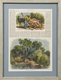 Appraisal: Moss-Gatherers Near Baton Rouge August hand-colored print from Every Saturday