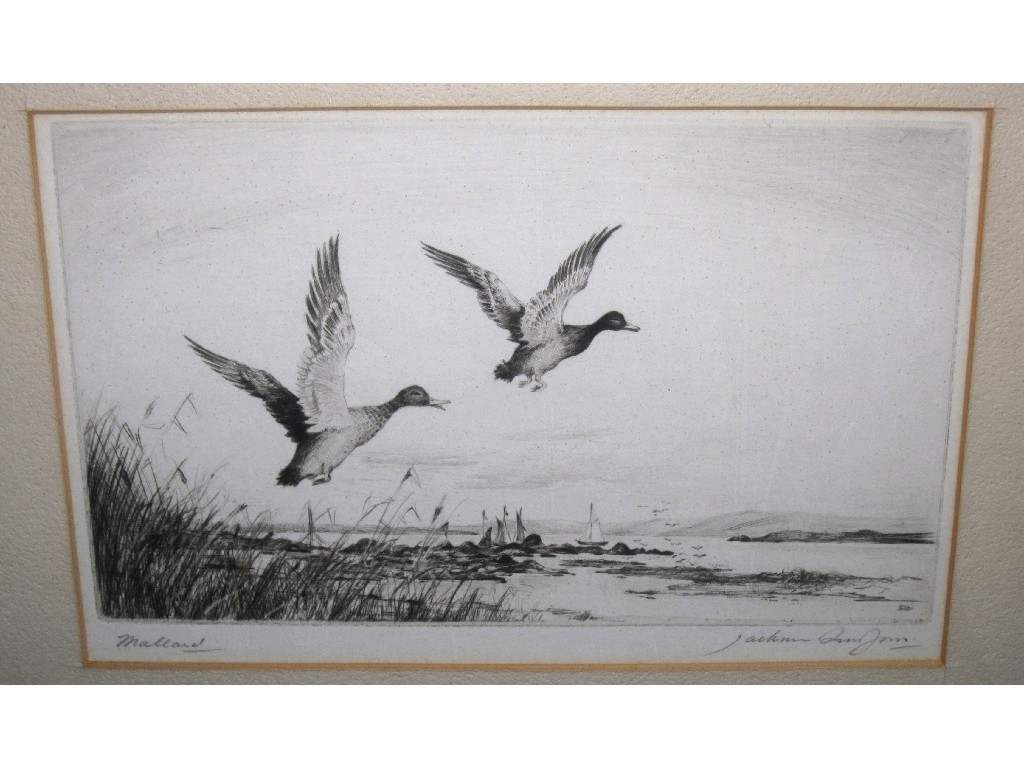 Appraisal: JACKSON SIMPSON Drypoint 'Mallard' signed and entitled in pencil