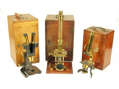 Appraisal: A lacquered brass monocular microscope the base inscribed 'Baker High