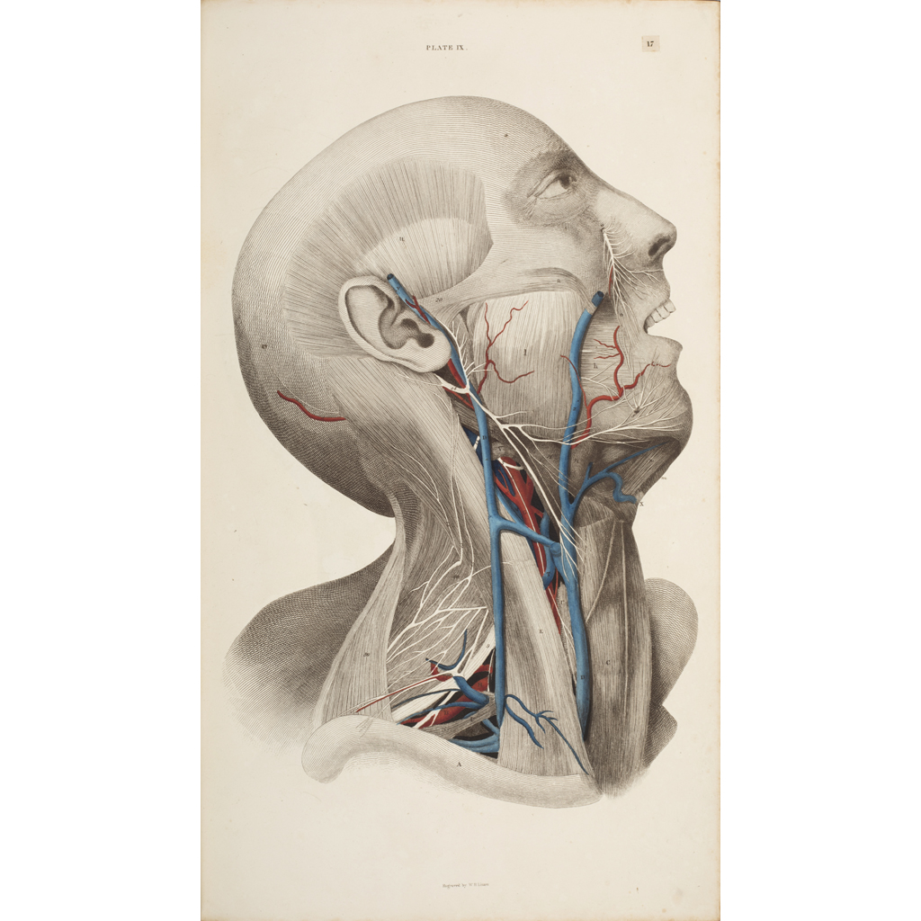 Appraisal: Lizars John System of Anatomical Plates Edinburgh W H Lizars