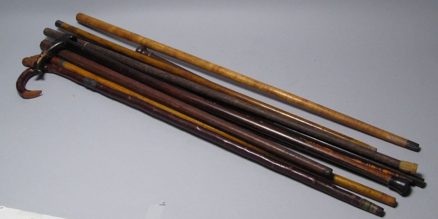 Appraisal: ELEVEN ASSORTED CANES Including one with whale-form handle one with