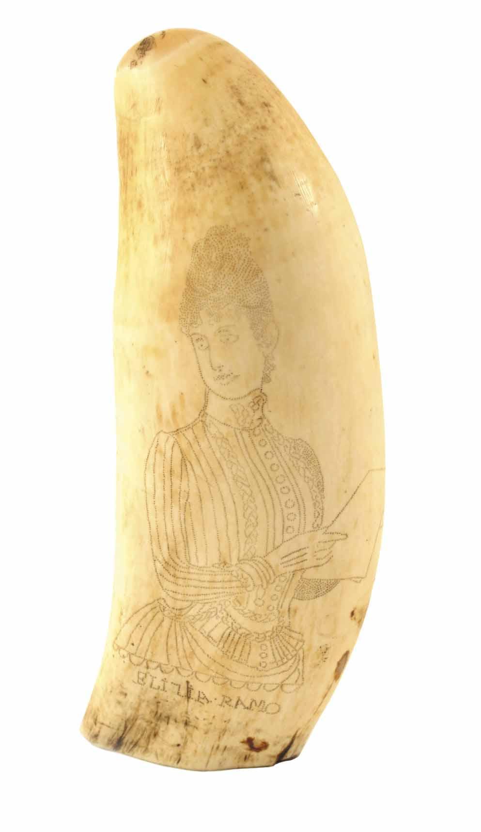 Appraisal: A th century large scrimshaw whaler s whale tooth