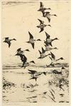 Appraisal: ETCHING - Ducks in Flight by Charles W Benson MA