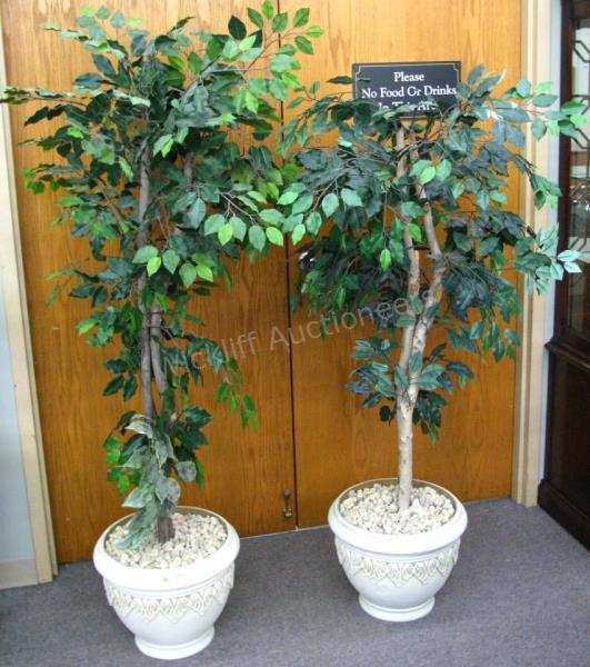 Appraisal: Artificial ficus trees in planters approximately ' and ' h