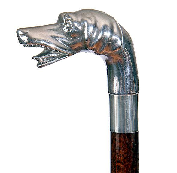 Appraisal: Sterling Dog Dress Cane Early th Century- A signed sterling