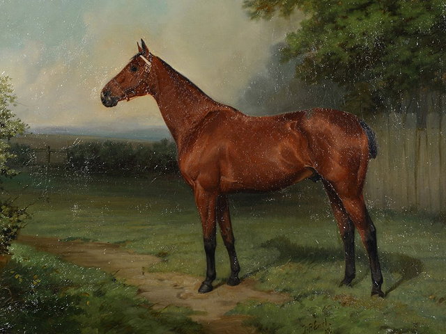 Appraisal: Thomas Percy Earl British - Study of a race horse