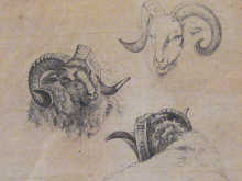 Appraisal: Wouter Johannes Van Troostwijk - framed and glazed print sheep