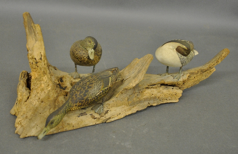 Appraisal: - Three carved pintail ducks on driftwood by Carl Malmstrom