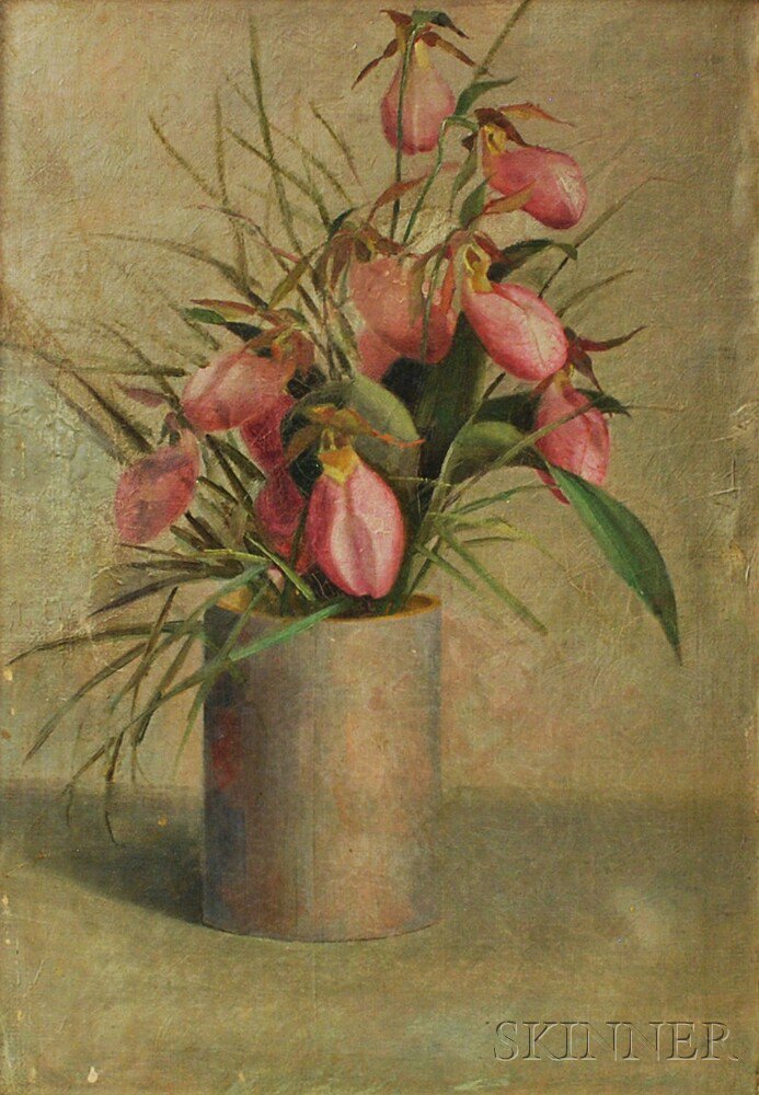 Appraisal: American School th Century Still Life with Pink Lady's Slippers