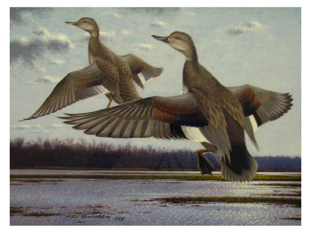 Appraisal: Ken Bucklew Indiana x acrylic SLL Gadwalls depicting geese in