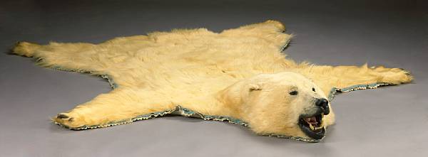 Appraisal: Polar Bear Skin Polar Bear Skin Rug mounted by Jonas