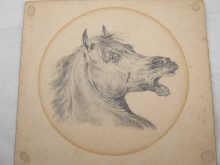 Appraisal: A fine pencil study of the head of a horse