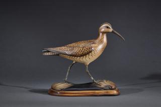 Appraisal: Eskimo Curlew William Gibian b Eskimo CurlewWilliam Gibian b Onancock