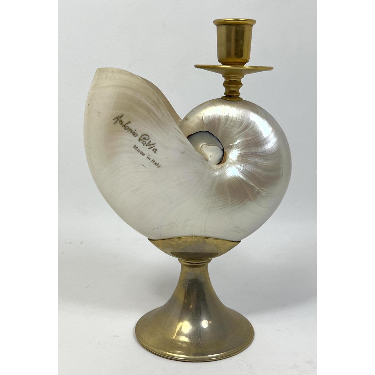 Appraisal: Antonio Pavia Nautilus shell candle stick Signed made in Italy