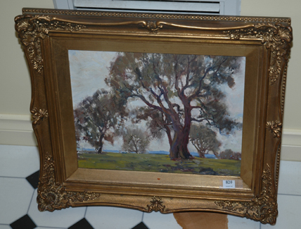 Appraisal: AUSTRALIAN SCHOOL The Old Gum Oil on board x cm