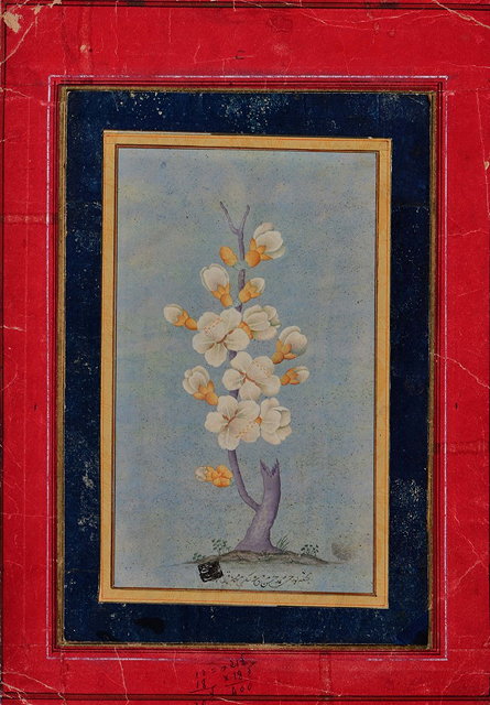 Appraisal: A PERSIAN OR INDIAN PAINTING of blossom with inscription x