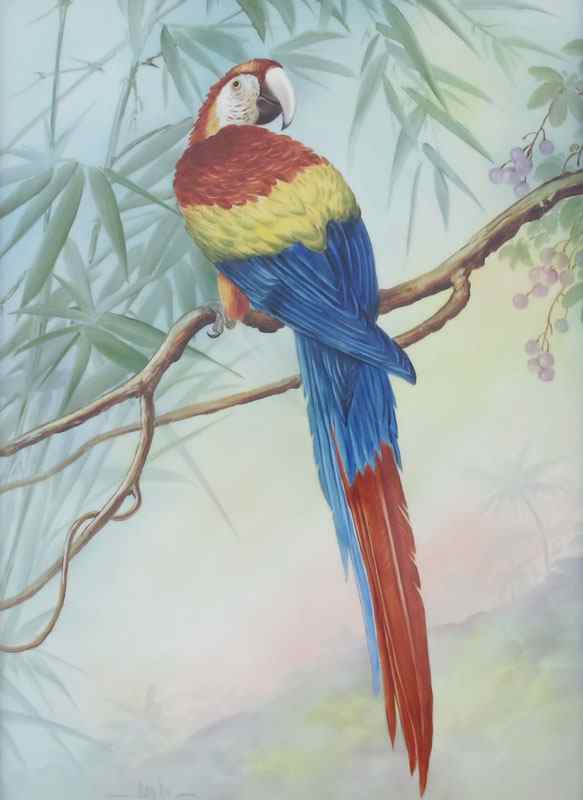 Appraisal: SAN-DO American th C Parrot in a Tropical Landscape Painting