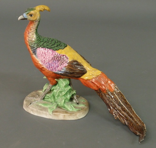 Appraisal: Dresden porcelain exotic bird h x l x d