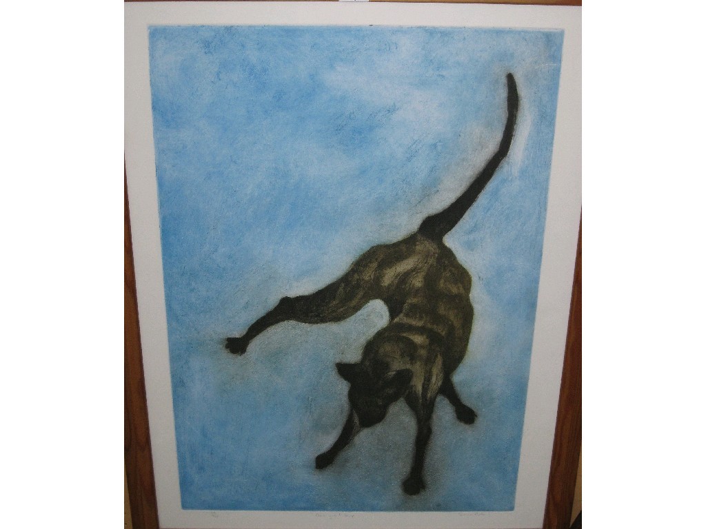 Appraisal: SONIA ROLLO Etching in colours 'One Great Leap' signed and