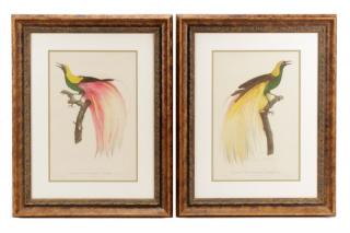 Appraisal: Pair of After Barraband Bird of Paradise Works Francois Levaillant