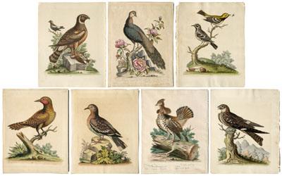 Appraisal: Seven George Edwards prints - three from A Natural History