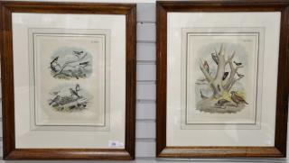 Appraisal: Set of ten crayon plate lithographs after Theodore Jasper printed