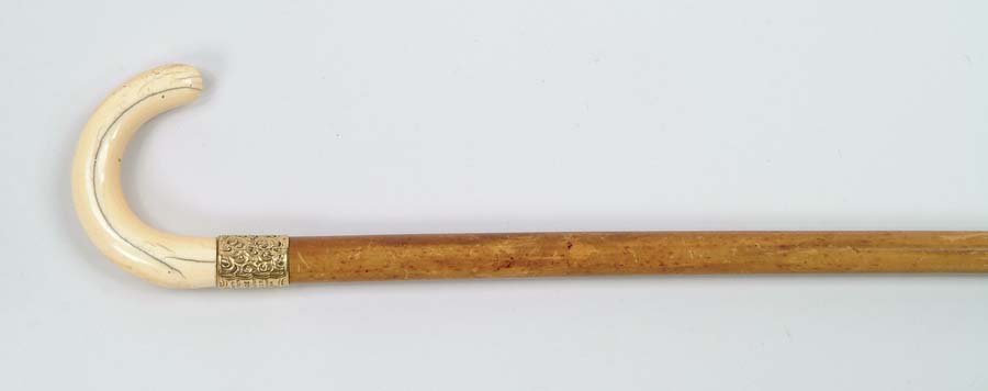 Appraisal: CANE IVORY C-HANDLED PRESENTATION CANE - embossed kt gold ferule