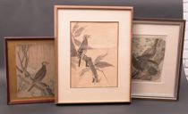 Appraisal: Trio of Oriental Bird Prints Watercolors Trio of oriental bird