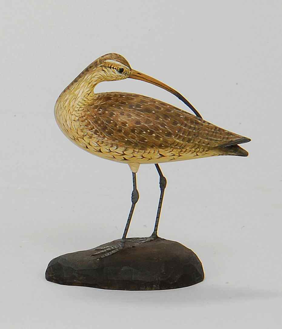 Appraisal: CROWELL-STYLE MINIATURE PREENING WHIMBRELBy Steve Weaver of Cape Cod Masschusetts