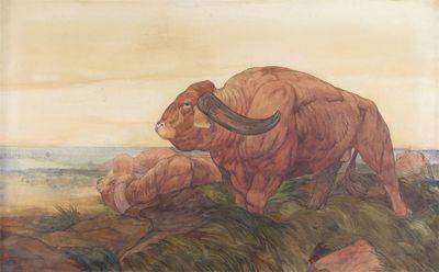 Appraisal: Edward Julius Detmold - Oxen in a landscape Signed with