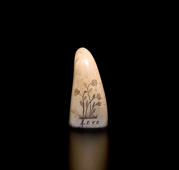 Appraisal: SCRIMSHAWED WHALE'S TOOTH American th century decorated with inked and