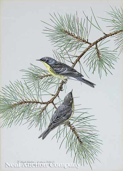 Appraisal: Basil Ede English b Kirtland Warbler and Rufous-Sided Towhee both