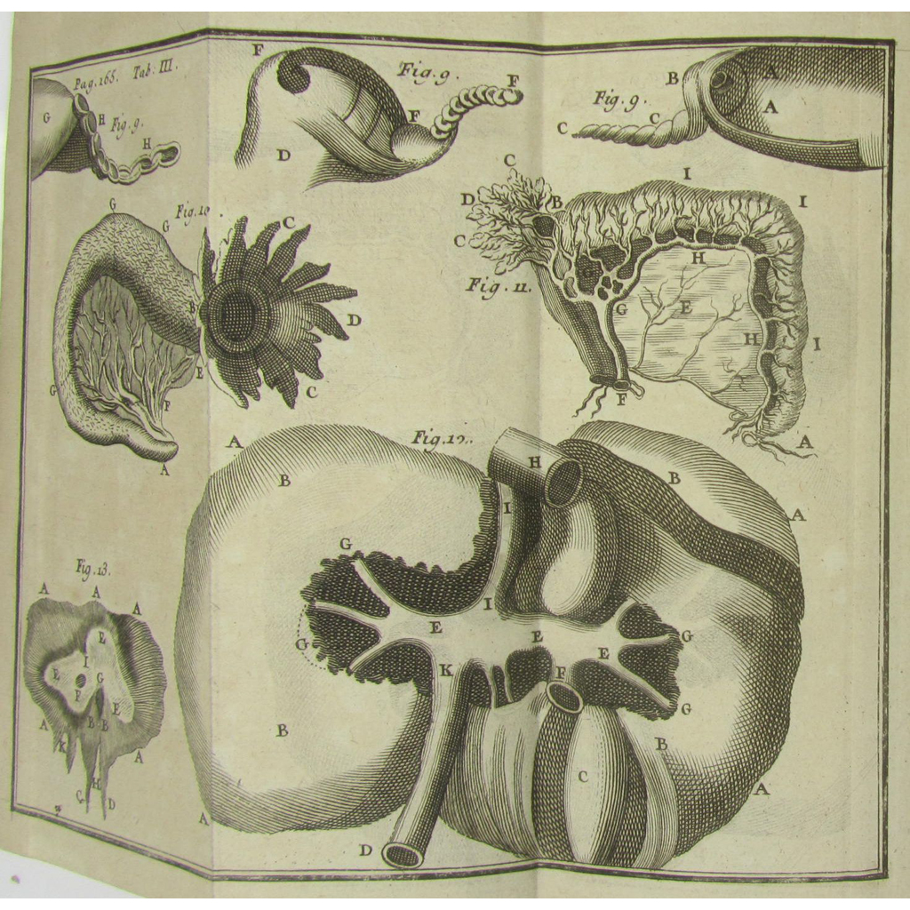 Appraisal: th Century Medicine including Heister Lorenz Compendium Anatomicum Amsterdam volumes