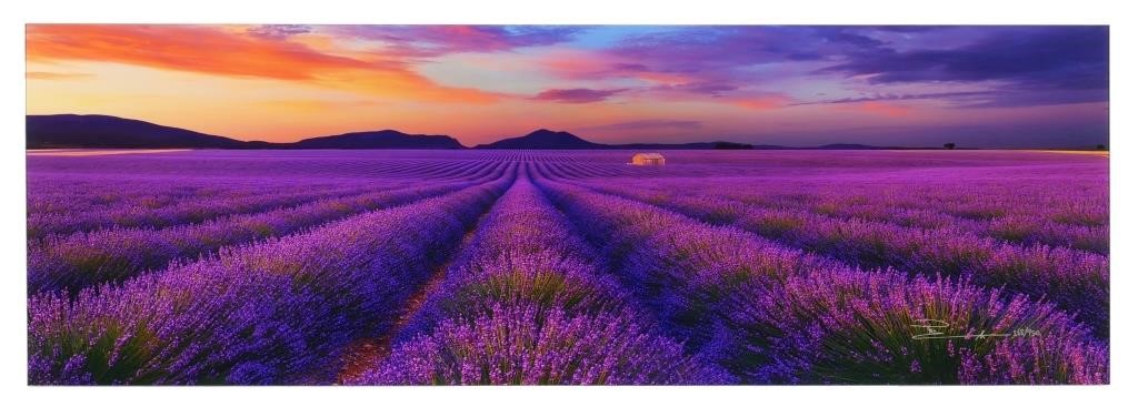 Appraisal: Le Reve Valensole France Panoramic photographic print by Peter Lik