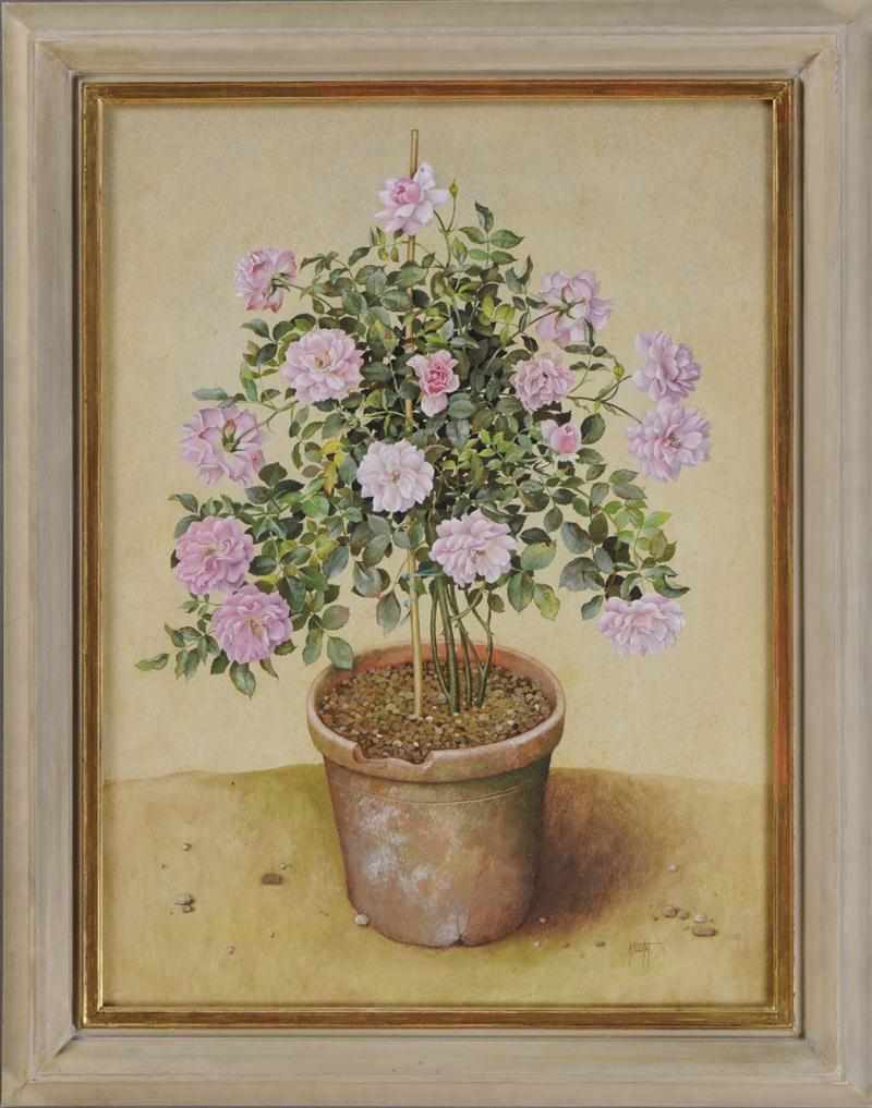 Appraisal: JOS ESCOFET b PINK ROSE TREE IN CLAY POT Gouache