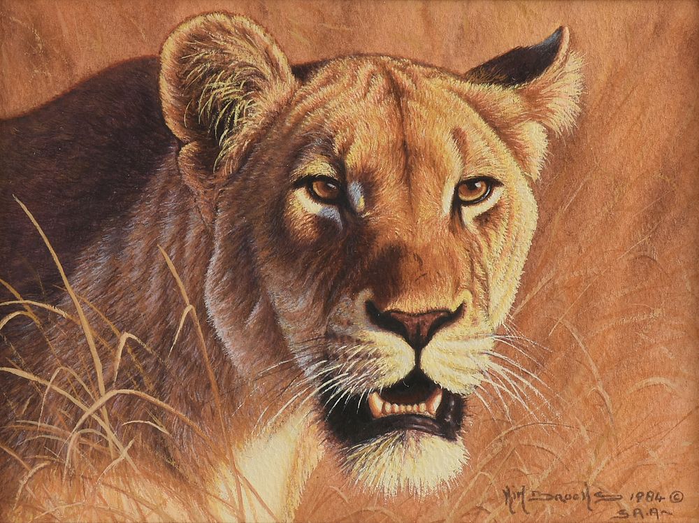 Appraisal: KIM BROOKS British b A PAINTING Lioness on the Hunt