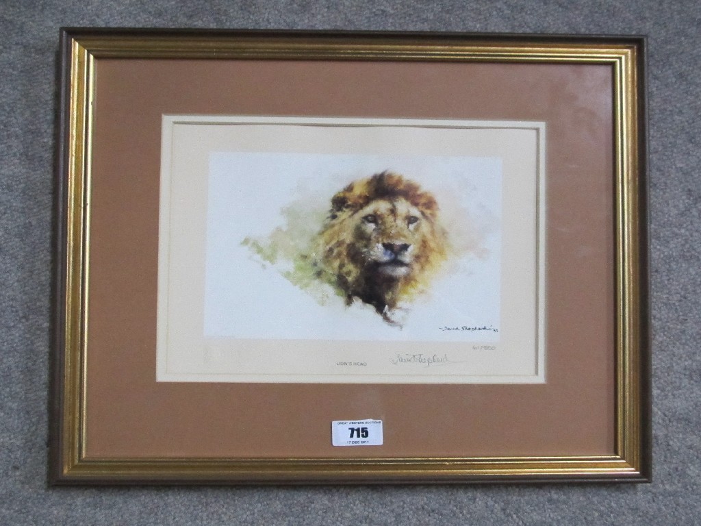 Appraisal: AFTER DAVID SHEPHERD Limited Edition print 'Lions Head' signed and