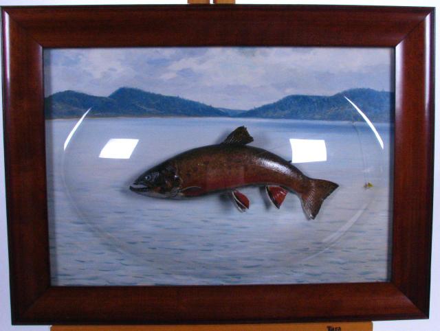 Appraisal: Taxidermy Trout in Bubble Glass presentation with scenic painted background