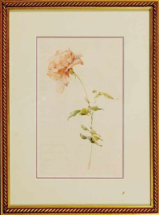 Appraisal: Alice Ravenel Huger Smith South Carolina - ROSE watercolor framed