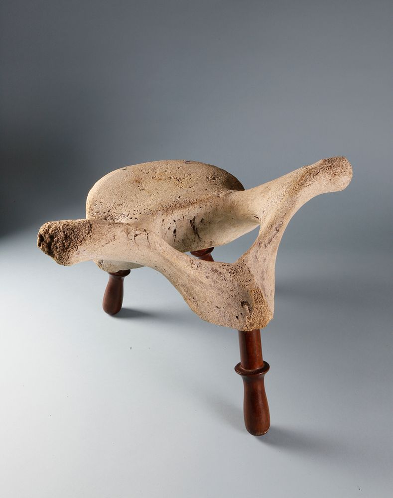 Appraisal: Whalebone and Wood Whale Vertebrae Stool circa Whalebone and Wood