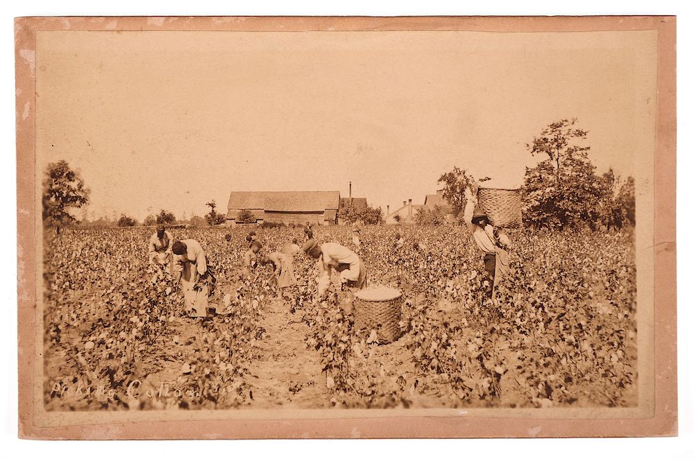 Appraisal: JACKSONVILLE Photograph Picking Cotton Antique original photo print of harvesting