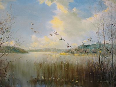 Appraisal: Vernon Ward - Mallard in flight over Sowley Pond New