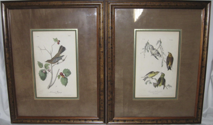 Appraisal: After John James Audubon American - quartet of hand-colored octavo