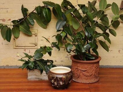 Appraisal: RENAISSANCE-STYLE CAST-STONE PLANTER Decorated with scrolling leaves centering masks Together