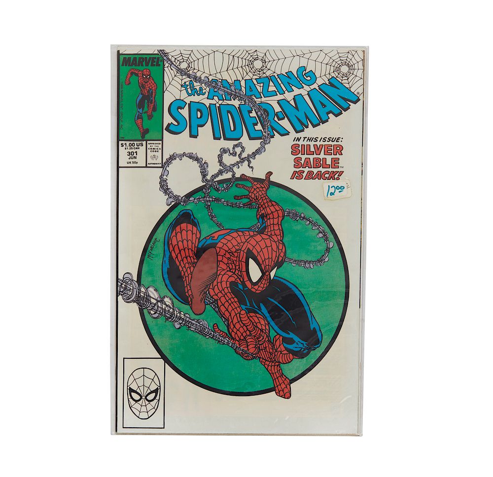 Appraisal: The Amazing Spider-Man Issues - The Amazing Spider-Man issues Jun