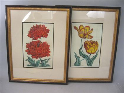 Appraisal: Pair of Gilt Framed Red Floral Engravings Titled Heroic Peony