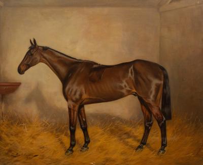 Appraisal: Charles E Gatehouse - Racehorse 'Royal Star' in a Stable