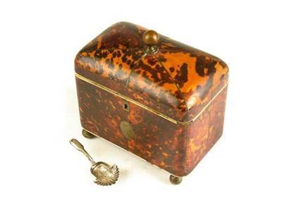 Appraisal: A late Regency rectangular tortoiseshell tea caddy inlaid pewter stringing